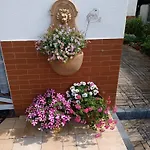 Marino 3* كولوبرزيغ