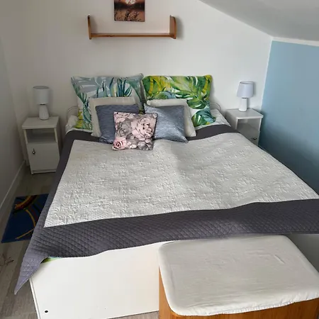 Marino Guest house *
