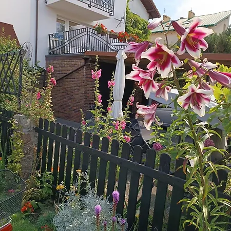 Guest house Marino