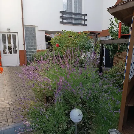Guest house Marino